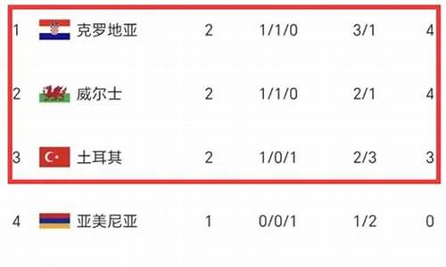 土耳其欧洲杯预选赛名单_土耳其小组赛战绩
